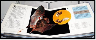 WINGS: A Pop-up Book of Things that Fly
