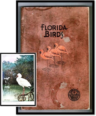 Item #15978 Florida Birds: Biographies of Selected Species of Birds and Compiled List of All...