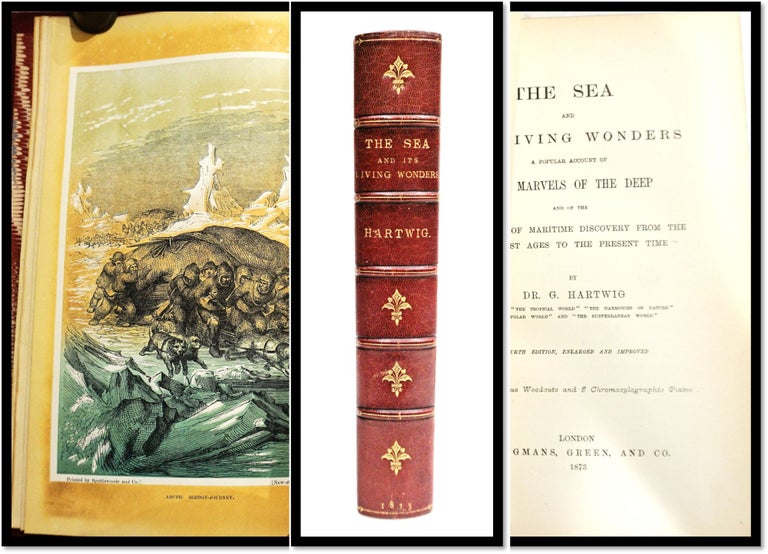Item #16010 [Travel, Exploration] The Sea and Its Living Wonders a Popular Account of the Marvels of the Deep and of the Progress of Maritime Discovery from the Earliest Ages to the Present Time. Dr. G. Hartwig.