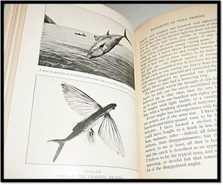 The Channel Islands of California a book for the angler, sportsman, and tourist.