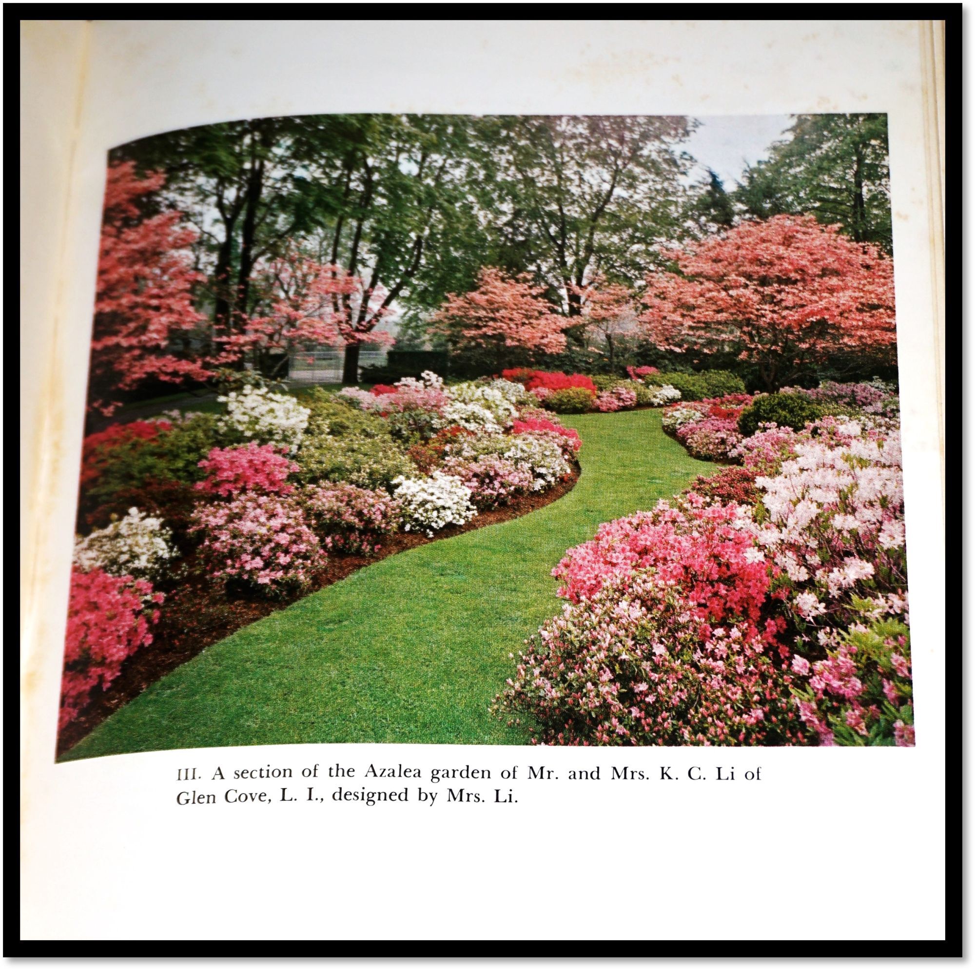 The Azalea Book An American Horticultural Society Book | Frederick