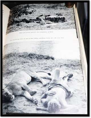 Living Free. The Story of Elsa and Her Cubs.
