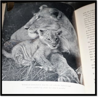 Living Free. The Story of Elsa and Her Cubs.