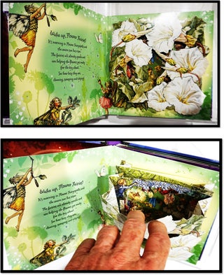 Hidden Flower Fairies