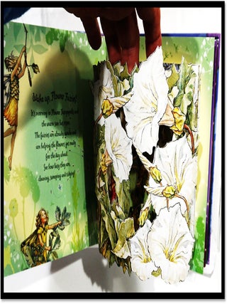 Hidden Flower Fairies
