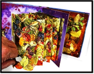 Hidden Flower Fairies