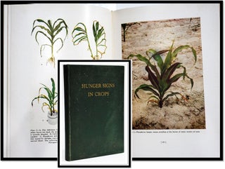 Item #16834 Hunger Signs in Crops. Gove - Hambridge
