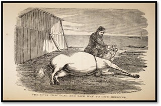 The Horse's Friend. The Only Practical Method of Educating the Horse and Eradicating Vicious Habits, Followed by a Variety of Valuable Recipes, Instructions in Farriery, Horse-Shoeing, The Latest Rules of Trotting, and the Record of Fast Horses up to 1876