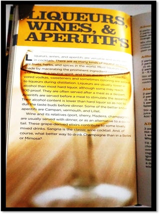 New York Bartender's Guide: 1300 Alcoholic and Non-Alcoholic Drink Recipes for the Professional and the Home