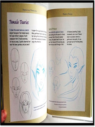 Drawing Faeries: a Believer's Guide