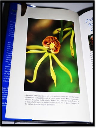 Wild Love Affair: Essence of Florida's Native Orchids