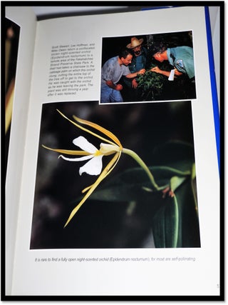 Wild Love Affair: Essence of Florida's Native Orchids