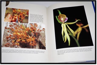 Wild Love Affair: Essence of Florida's Native Orchids