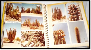 A Family Travel Scrapbook of a Trip Through the USA Southwest and Mexico in 1978