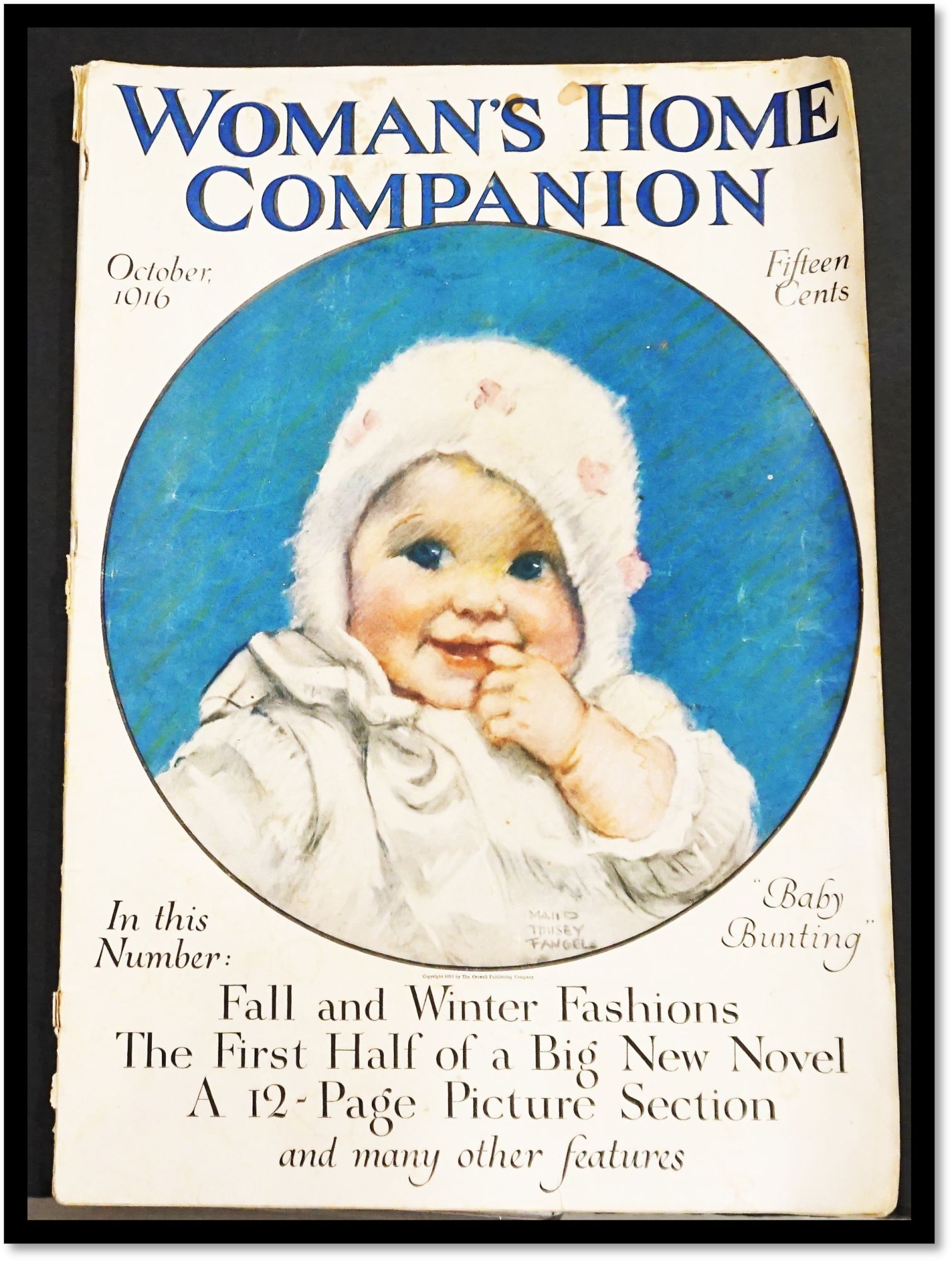 Woman’s Home Companion - Fall and Winter Fashions - October 1916 on Blind  Horse Books