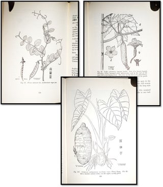 Vegetables in Southeast Asia