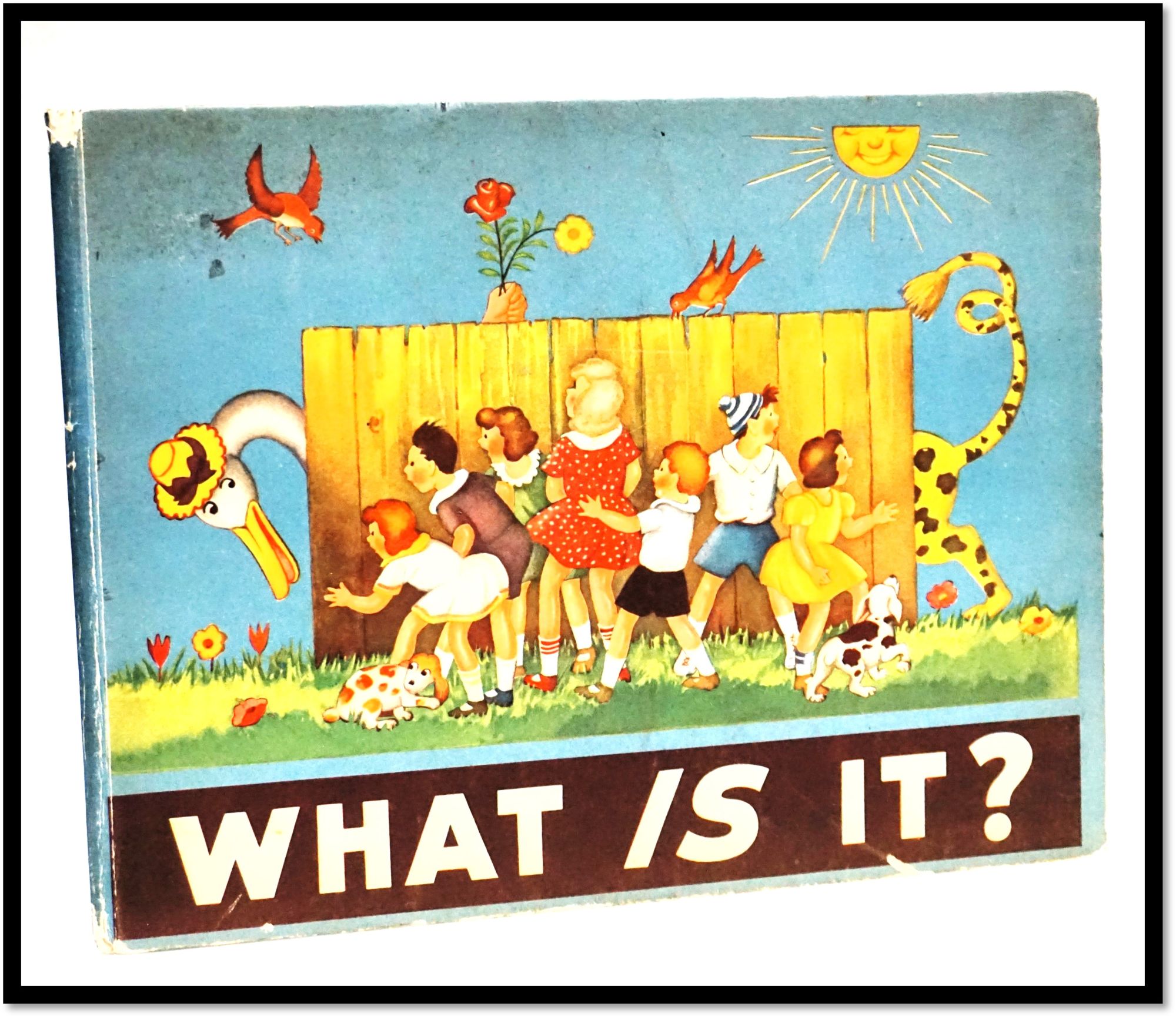 Item #17310 What Is It? [Interactive Question Riddle Book]. Anna Pistorius