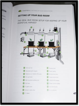 The Secrets of the West Coast Masters: Uncover the Ultimate Techniques for Growing Medical Marijuana