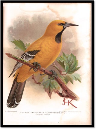 A Flying Trip to the Tropics: A Record of an Ornithological Visit to the United States of Colombia, South America and to the Island of Curacao, West Indies in the Year 1892