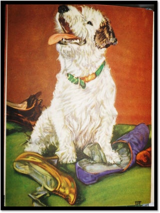 Puppy Stories