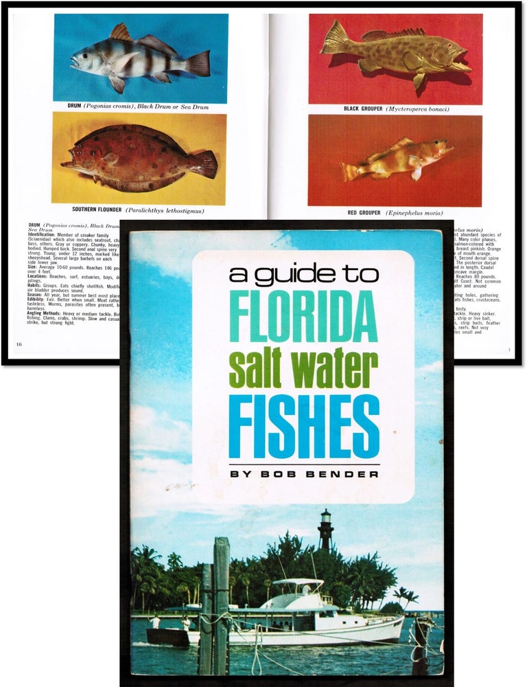Florida Saltwater Fish ID Book