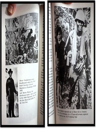 Blacks in America's Wars