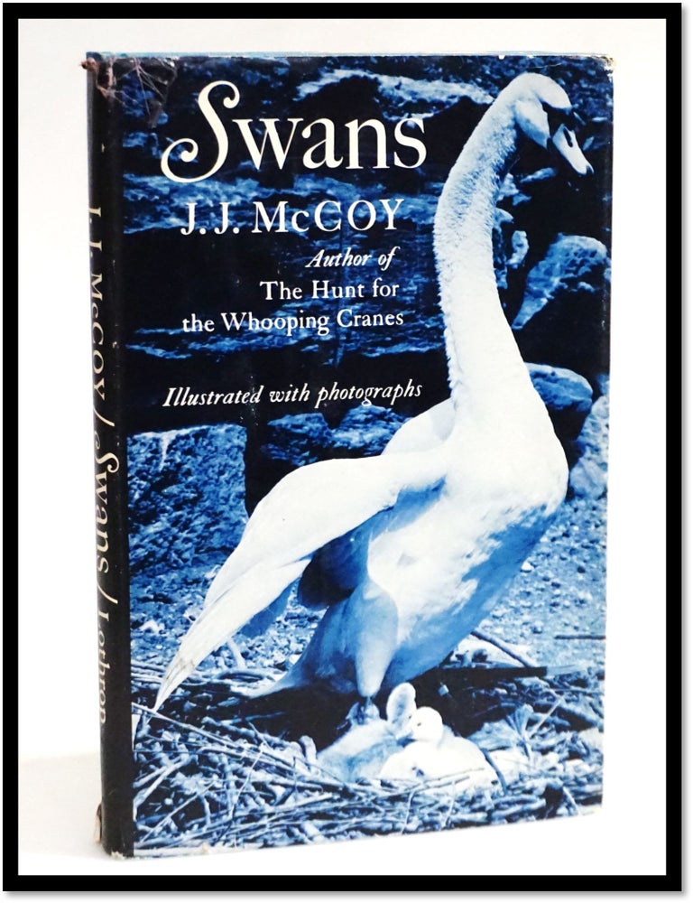 Item #19243 Swans. J. J. McCoy, Joseph J.