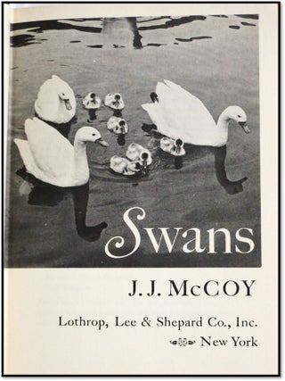 Swans