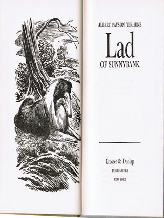 Lad of Sunnybank