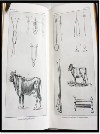Special Report on Diseases of Cattle [Bureau of Animal Industry; U.S. Dept of Agriculture]