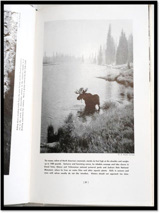 Exploring Our National Parks and Sites
