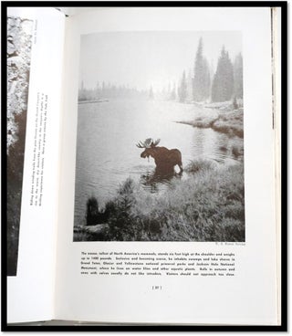 Exploring Our National Parks and Sites