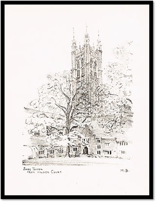 Princeton Sketches