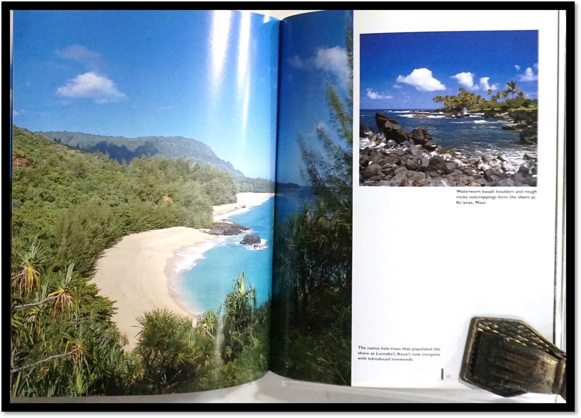 Hawaii's Natural Wonders | Jan Tenbruggencate