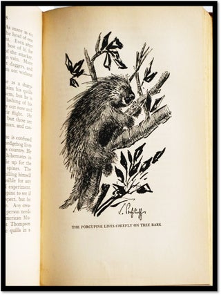 Vanishing Wilderness: Strange Tales of Our Disappearing Jungle Animals