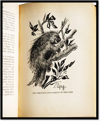 Vanishing Wilderness: Strange Tales of Our Disappearing Jungle Animals