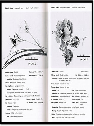 Florida Plant Selector: A Guide to Choice and Use of Over 100 Landscape Plants