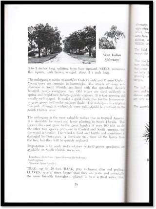 Native Trees and Plants for Florida Landscaping