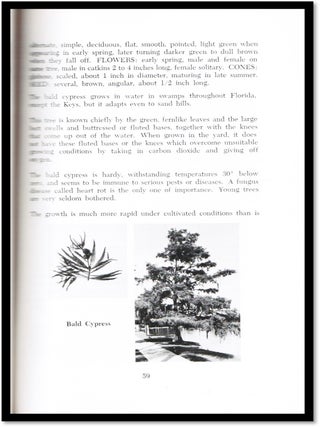 Native Trees and Plants for Florida Landscaping