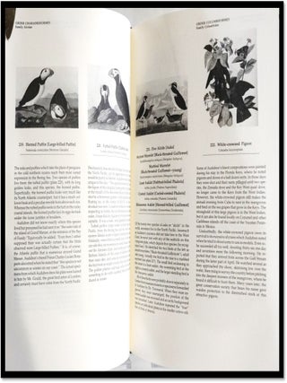 Commentaries Audubon's Birds of America