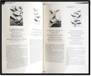Commentaries Audubon's Birds of America