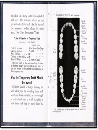 From Baby Teeth to Wisdom Teeth and Modern Bridgework