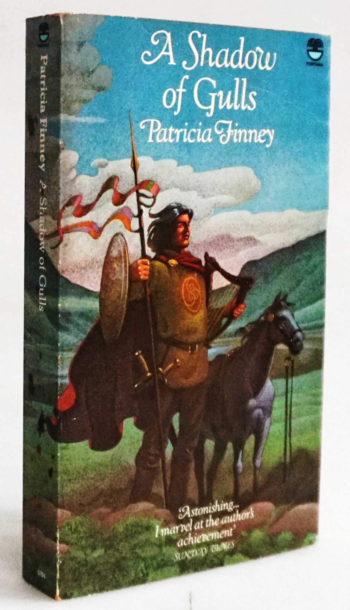 Shadow of Gulls Celtic Mythology Irish History Debut Novel | Patricia ...