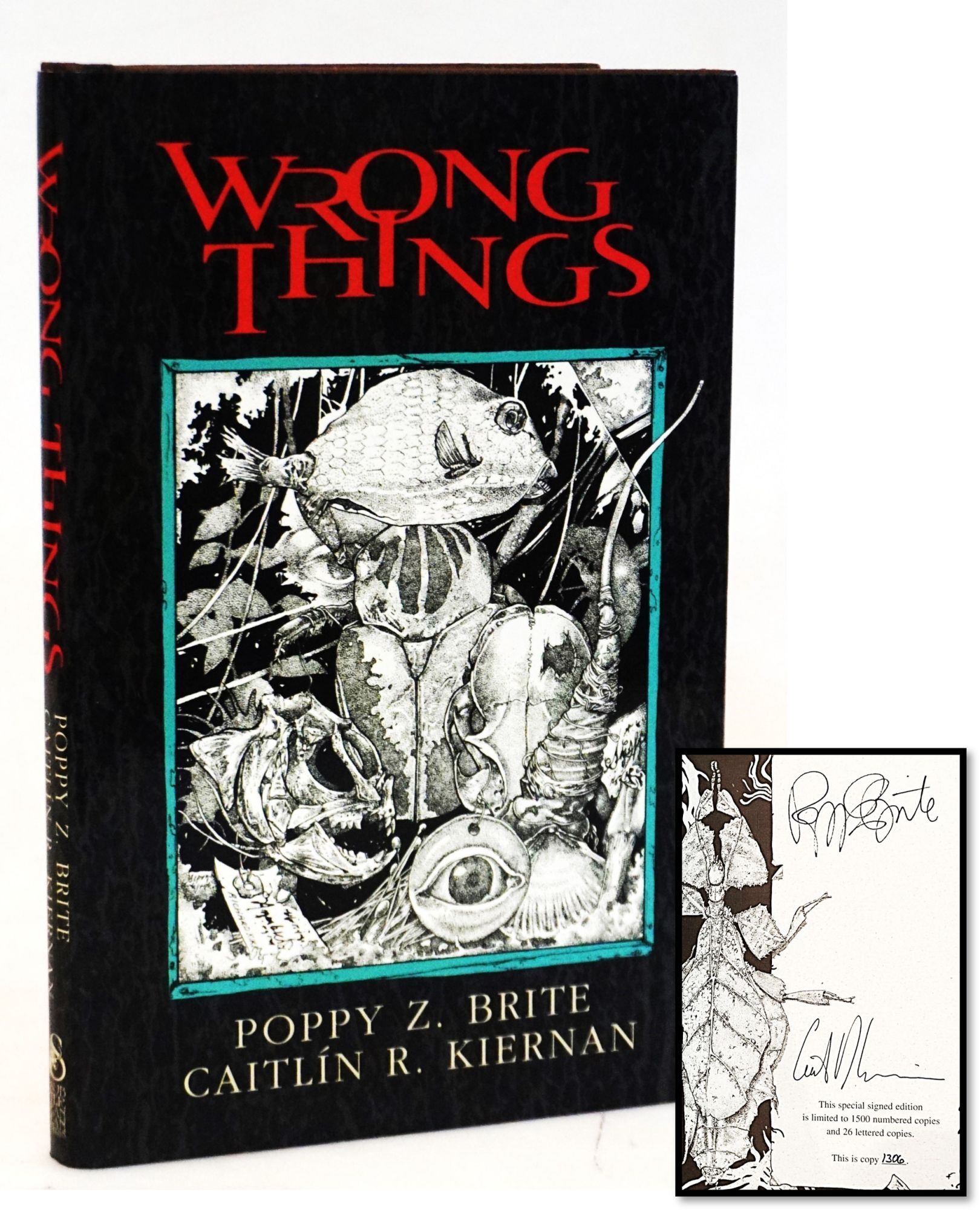 Caitlin R Wrong Things Signed Southern Gothic - Dark Fantasy | Poppy Z. Brite ...