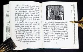 The Tale of Mr. Tod