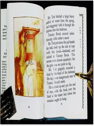 The Tale of Mr. Tod