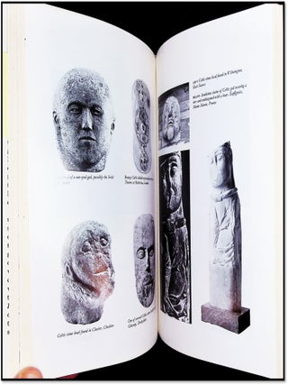 The Life and Death of a Druid Prince: The Story of Lindow Man an Archaeological Sensation