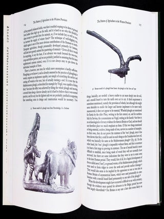 The Roman Villa; an Historical Introduction