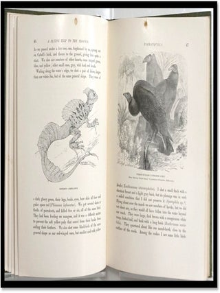 A Flying Trip to the Tropics: A Record of an Ornithological Visit to the United States of Colombia, South America and to the Island of Curacao, West Indies in the Year 1892