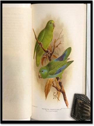 A Flying Trip to the Tropics: A Record of an Ornithological Visit to the United States of Colombia, South America and to the Island of Curacao, West Indies in the Year 1892